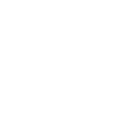 TPTFire Logo